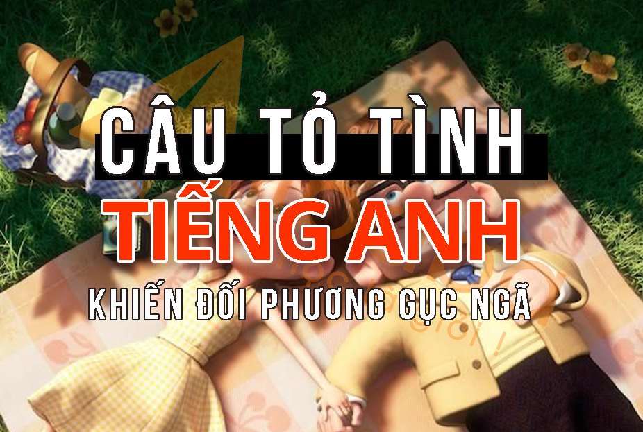 cau-to-tinh-bang-tieng-anh